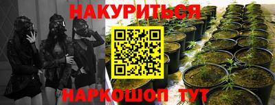 кокаин колумбия Шебекино