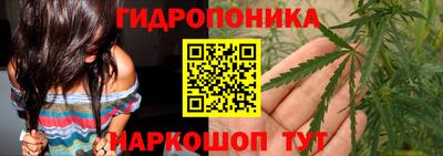 мдпв Шелехов