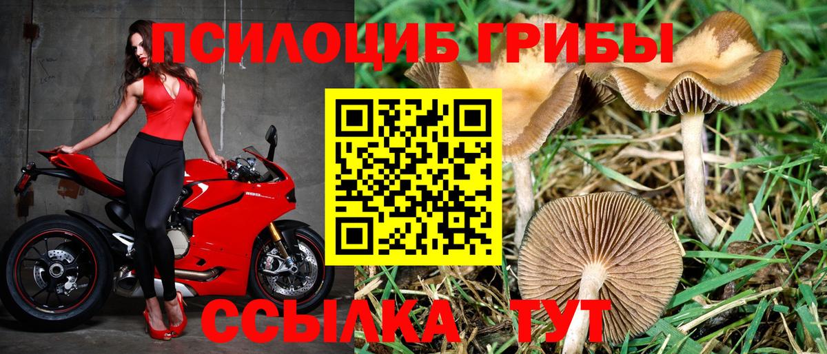 Галлюциногенные грибы прущие грибы  Галлюциногенные грибы MAGIC MUSHROOMS  Вход с VPN  Братск 